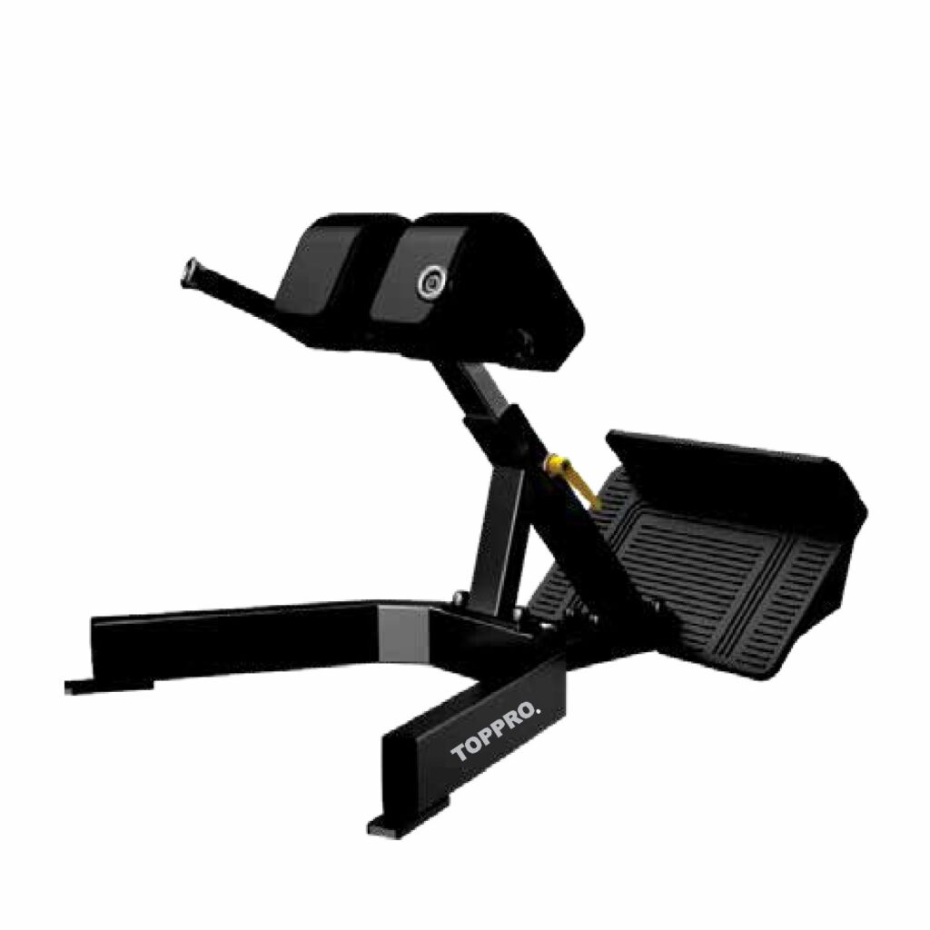BACK EXTENSION